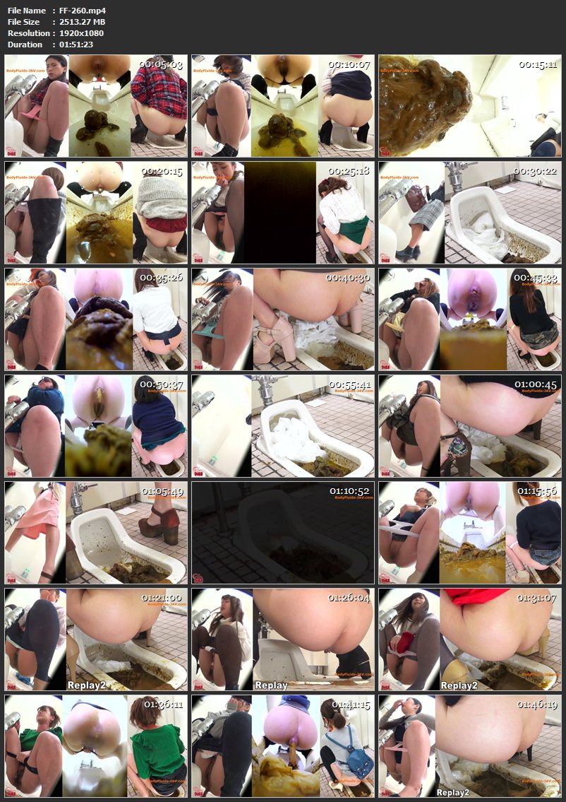 [FF-260] 公衆便所盗撮 流れないウンチ 激臭パニック 三 Defecation 脱糞 Voyeur フィルス 2018/01/12