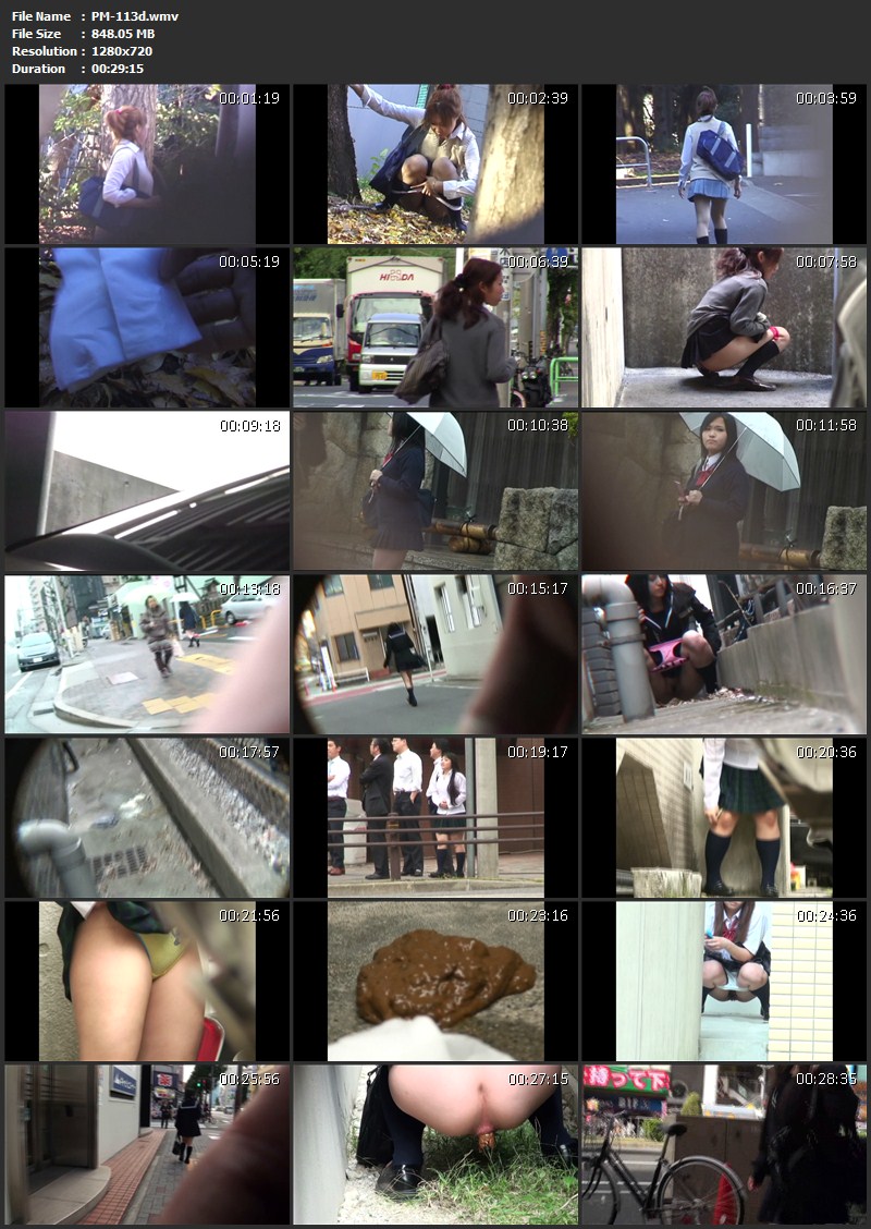 [PM-113] 盗撮！！　野グソ野ション　9　女子高生編 脱糞 ジェイド Scat Voyeur