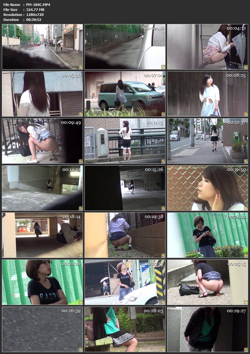 [PM-184] 盗撮！！野ぐそ野ション　15 脱糞 スカトロ ジェイド Voyeur Defecation