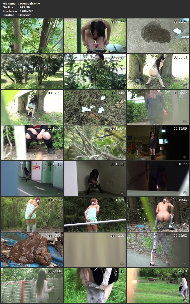 [DOIN-01] オールインワン女の野グソ野ション Scat シャリラ Outdoor Exposure ジェイド その他露出 137分 Defecation