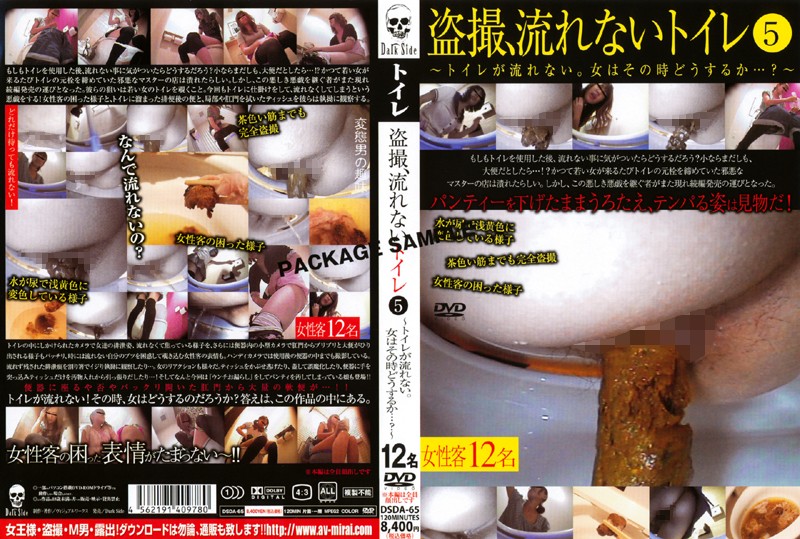 [DSDA-65] 盗撮、流れないトイレ  5 120分 Voyeur Defecation 投稿 | jp312 | jp312