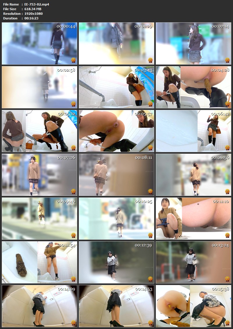 [EE-753] 激走！！！トイレ駆け込みダッシュうんこ 2024/02/09 Spy Cam エボ・ビジュアル Japanese scat